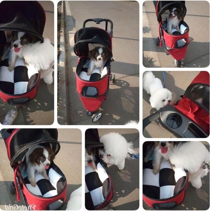 ❤超高耐荷重20kg❣2箇所から顔が出せてペットが怖がらない♪❤4輪ペットバギー