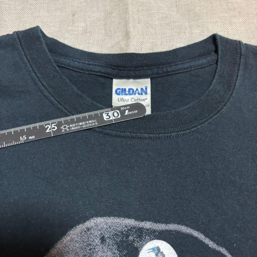 チャールズ・ダーウィン Tシャツ 黒T 古着