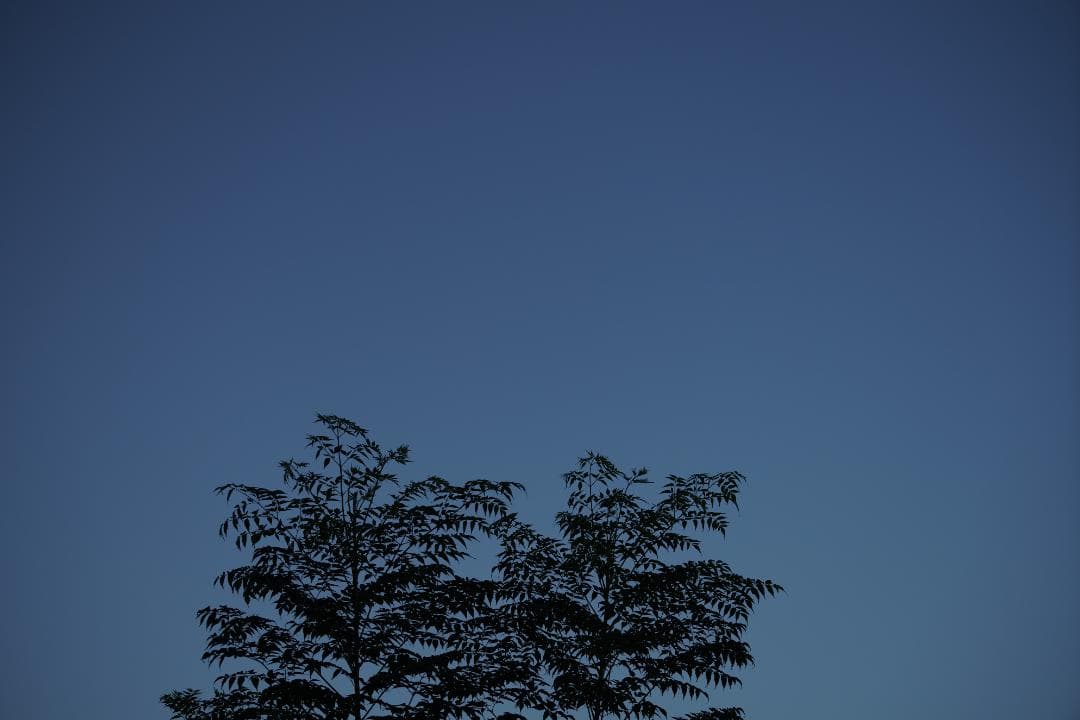 レンズ(ズーム) SONY FE 70-200mm f4 G OSS SEL70200G