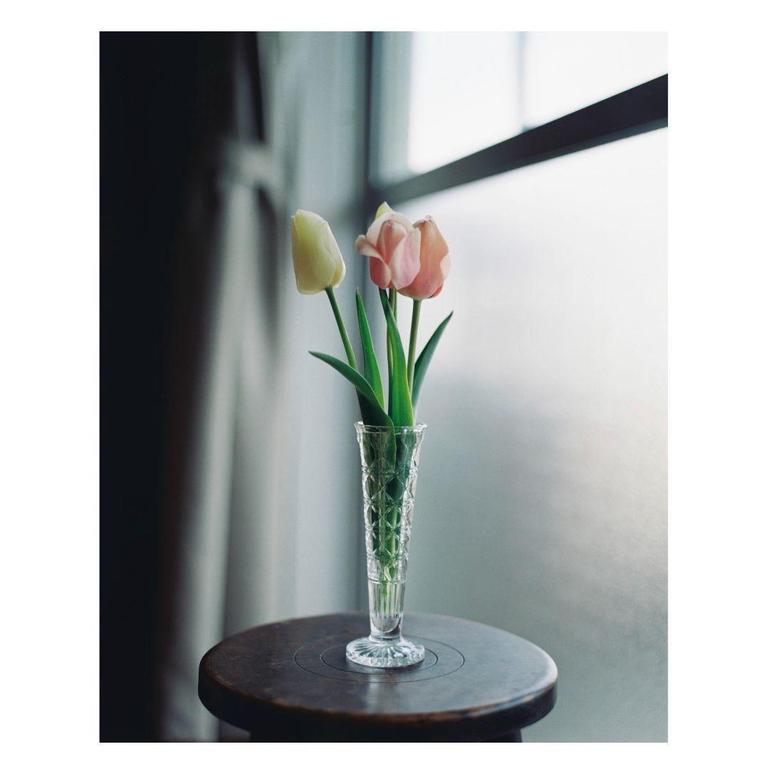 PENTAX67ボディ ＋ レンズ90mm F2.8セット