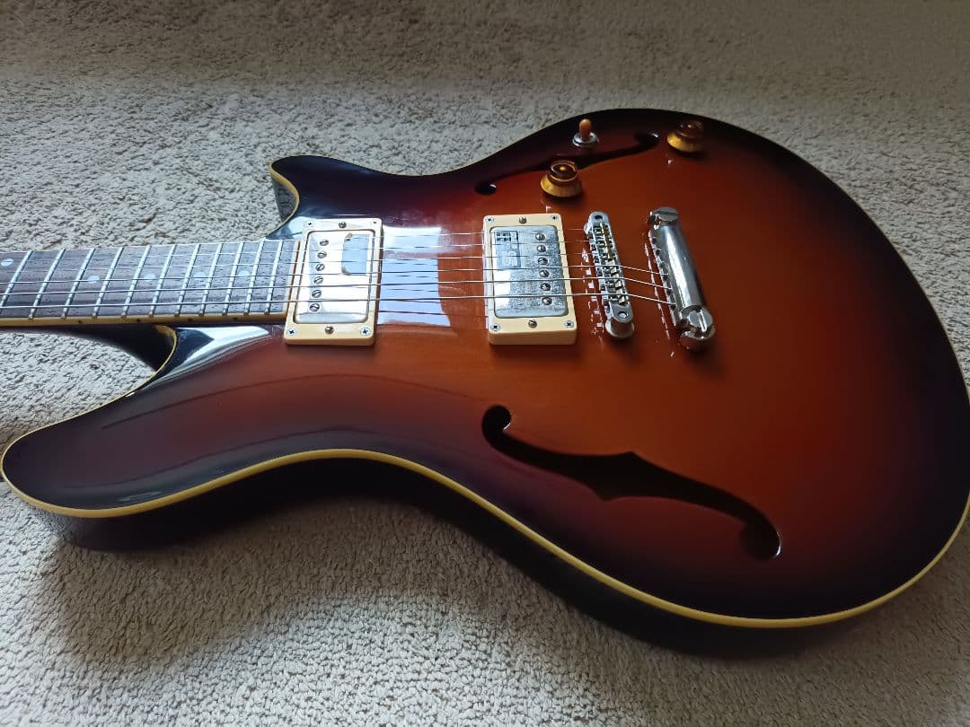 ギター Edwards E-PA-125D potbelly