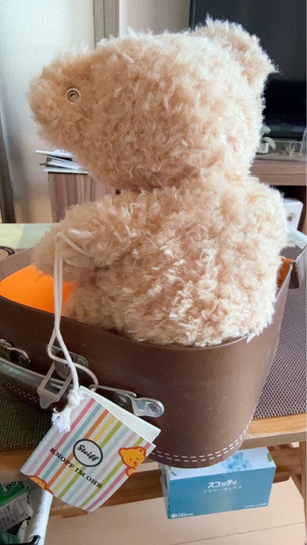 ドイツで購入⭐️Steiff Fynn teddybarぬいぐるみ ベージュ