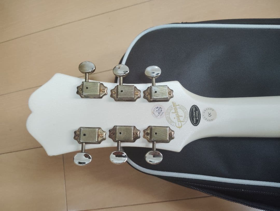 エピフォン リベエラ　P93 抜け殻