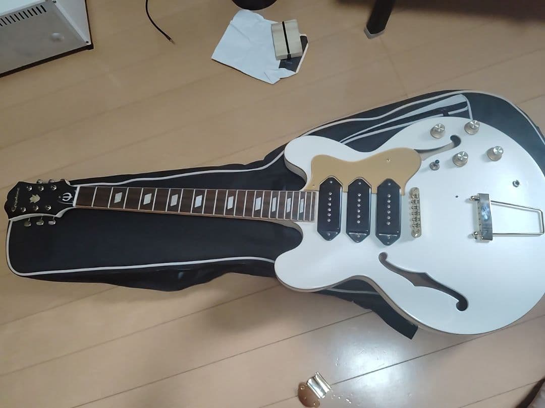 エピフォン リベエラ　P93 抜け殻