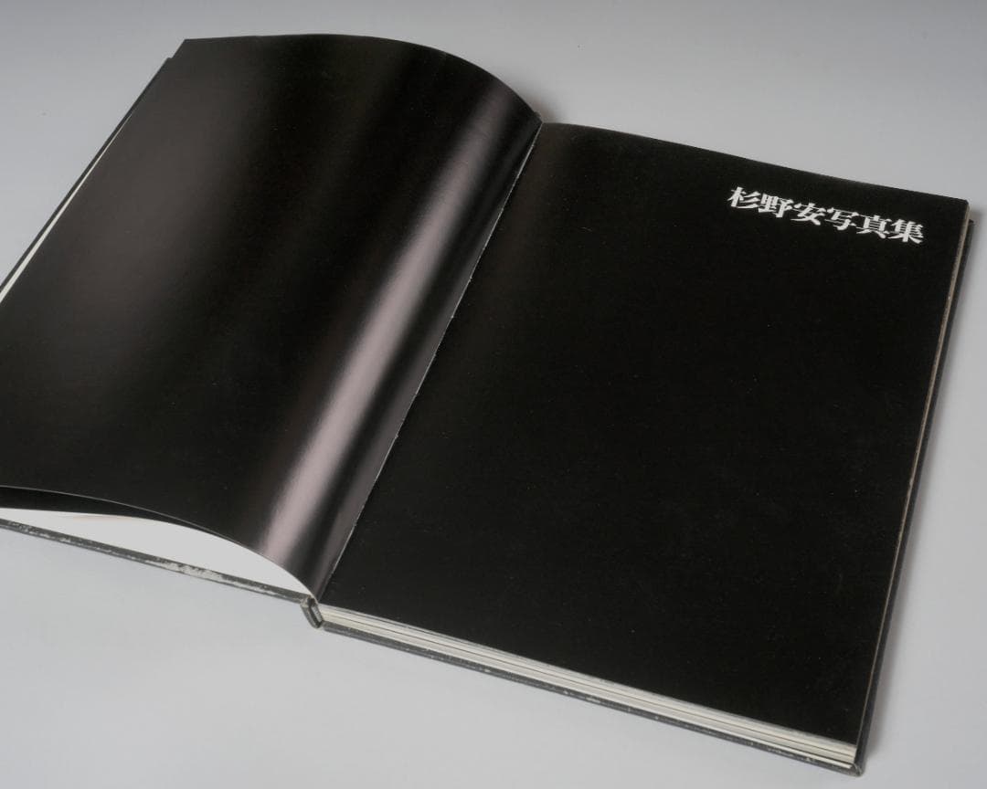 杉野安写真集 心蝕風景