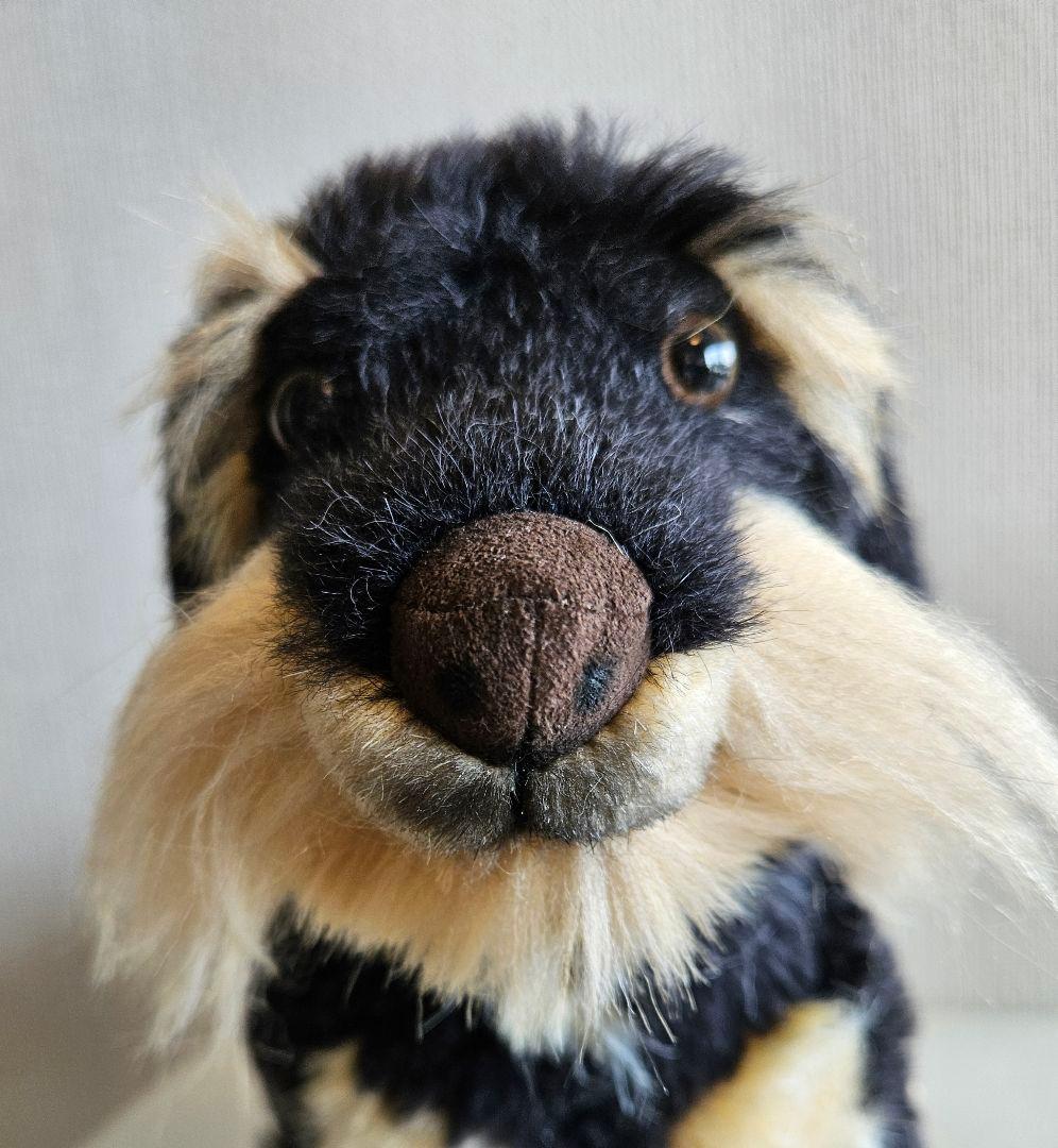 KOSEN ダックスフンド　モヘア