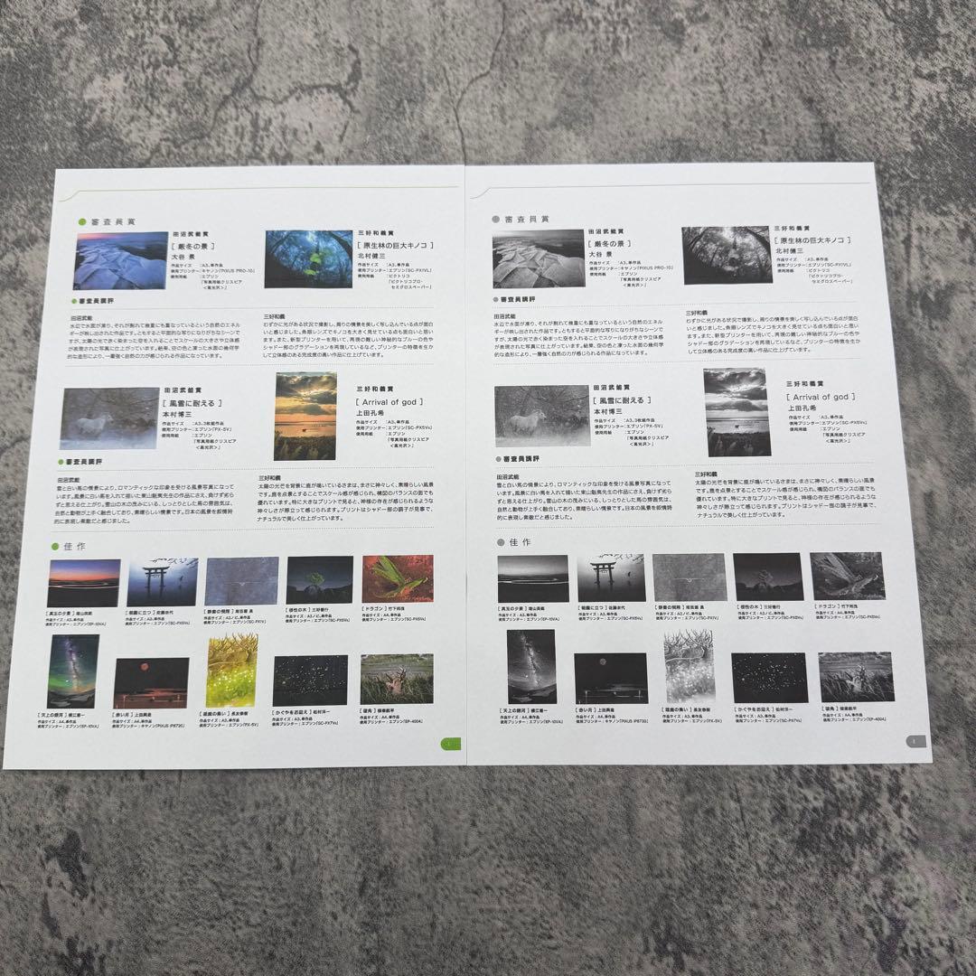 EPSON　EW-M754TB　インクジェットプリンター　印刷枚数約330枚