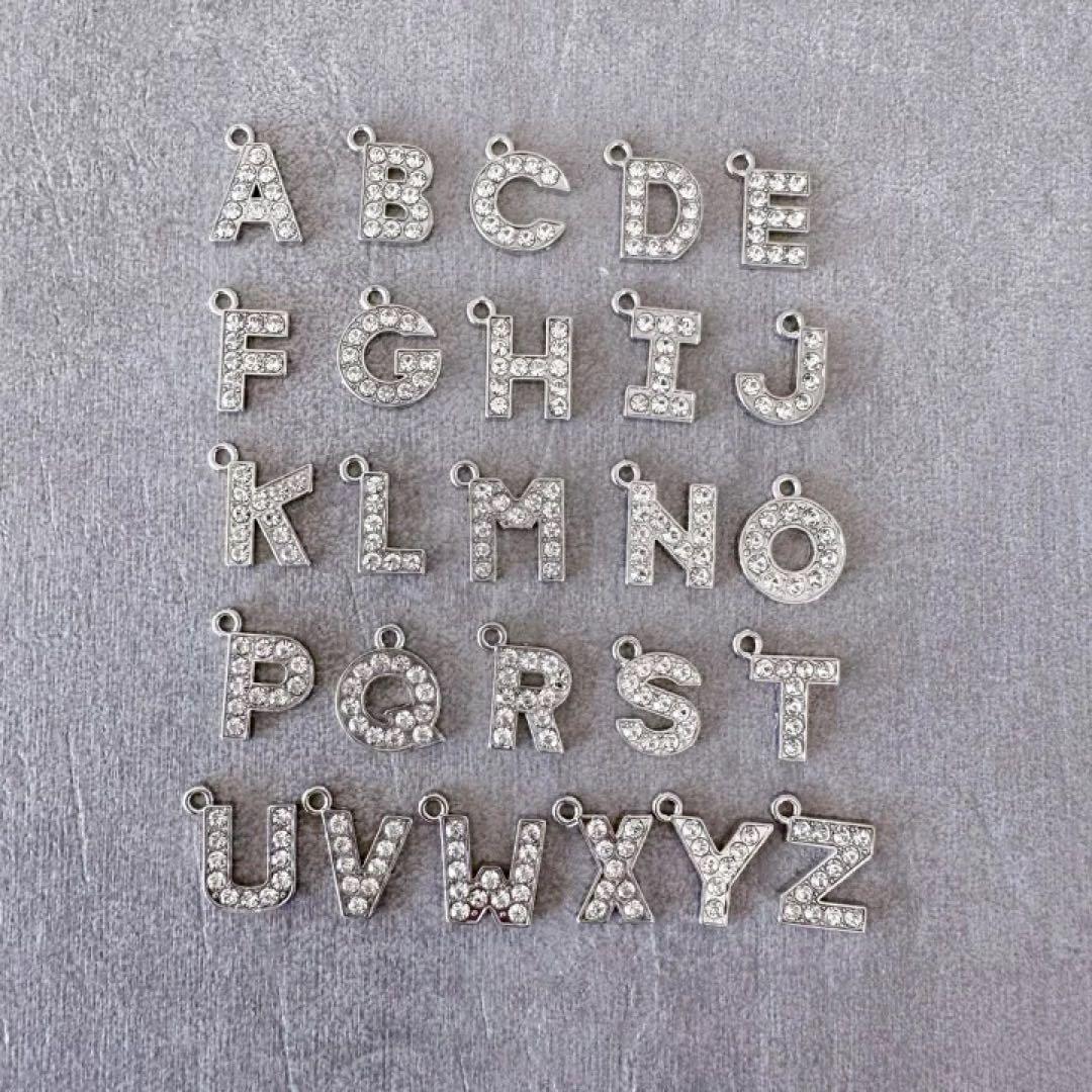 大サイズ)即購入OK)ワイヤーバッグシルバー　ハンドメイド