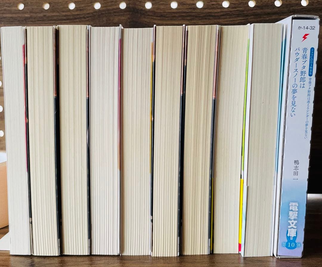 ドラマCD付き特装版　青春ブタ野郎はパウダースノーの夢を見ない 10巻セット