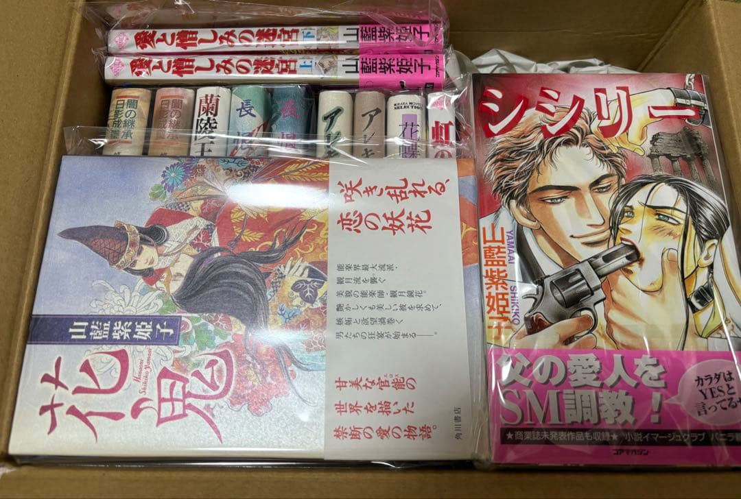 山藍紫姫子 BL小説 19冊セット