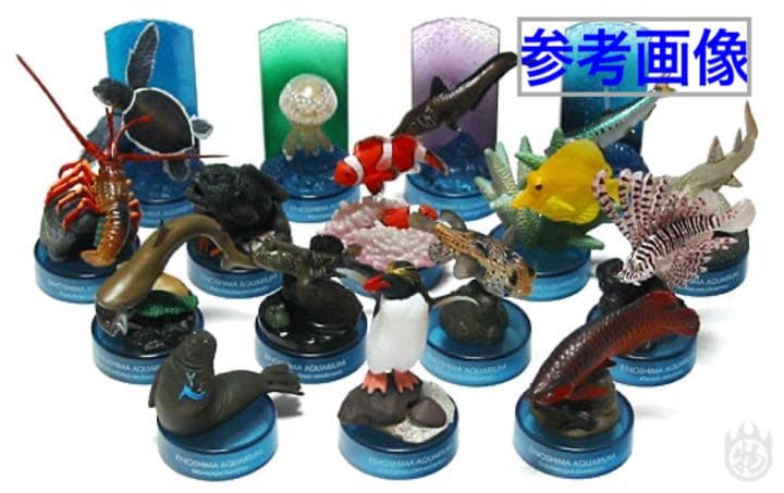 新江ノ島水族館への誘い