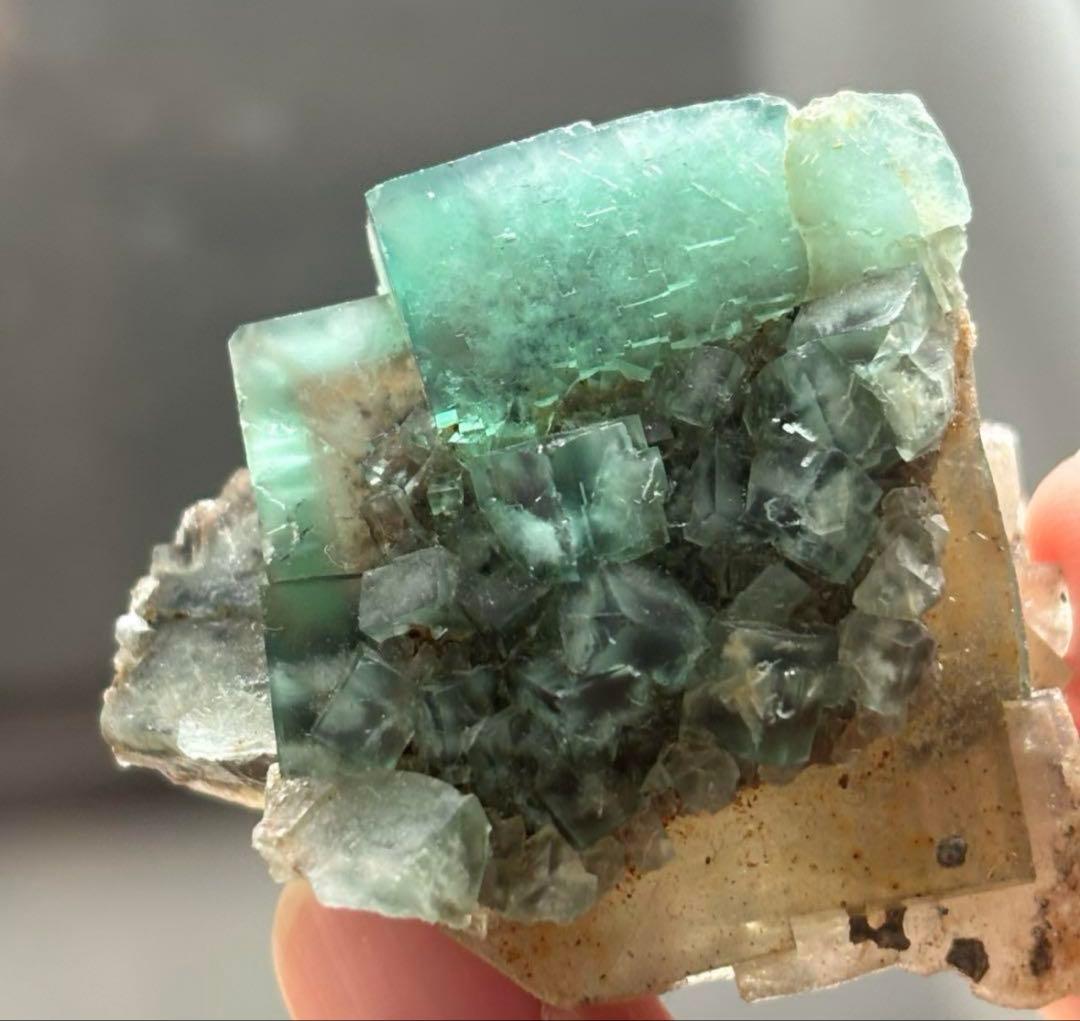 k*g様 レディアナベラ　toxic apple pocket フローライト　レ