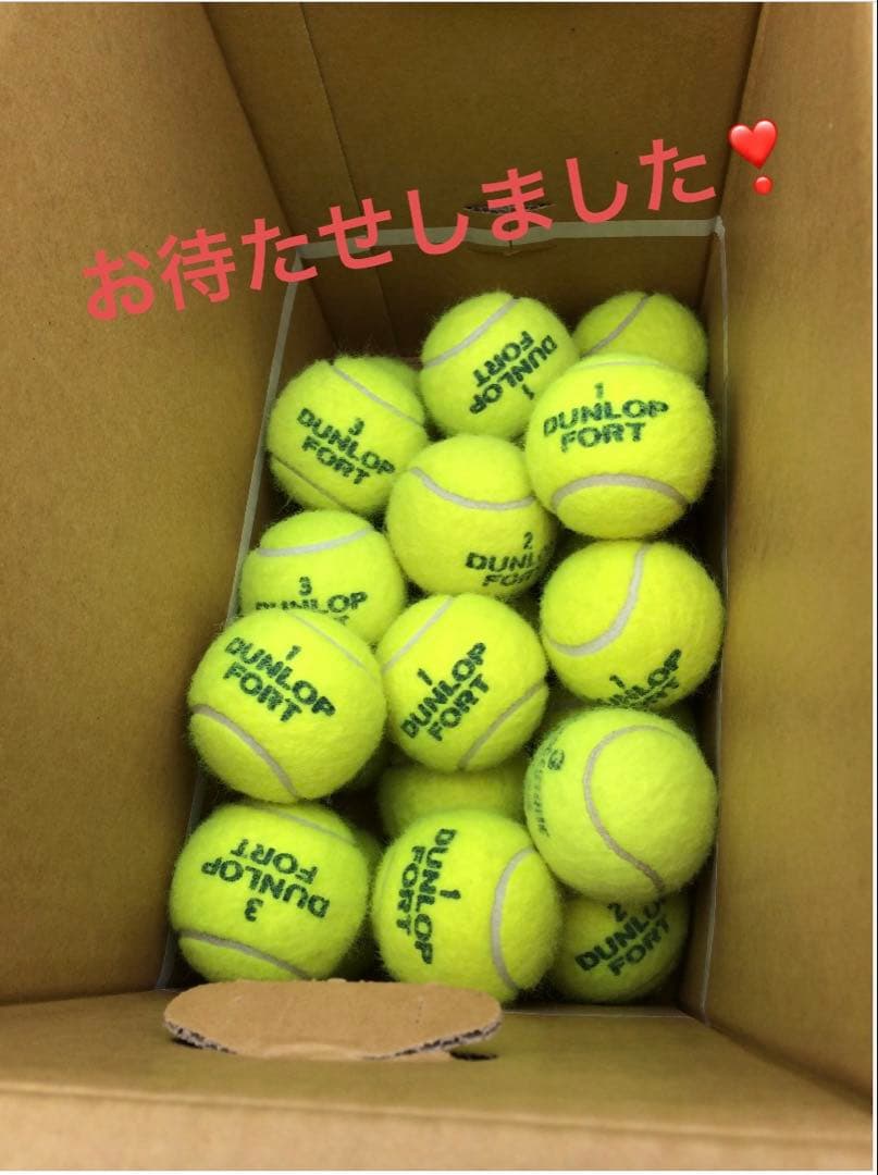 ダンロップFort 硬式テニスボール　100球