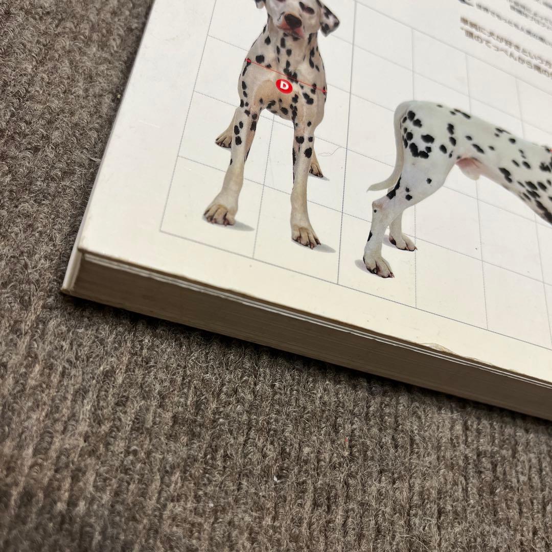 ブラックフライデー！週末値下げ 360°ビジュアル犬種大図鑑 :