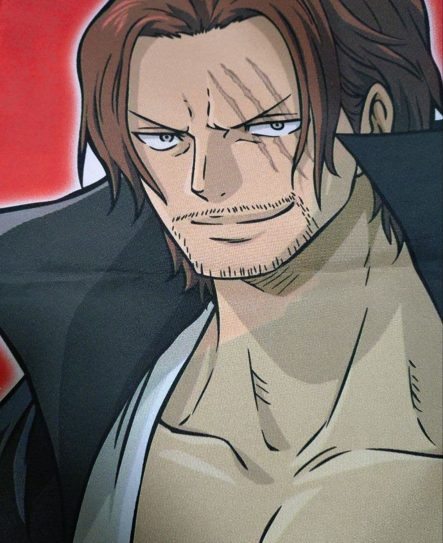 レア 希少品 非売品 ワンピース フィルム レッド 暖簾 横断幕