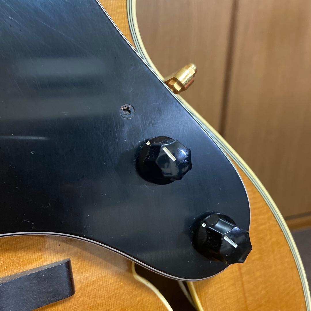 フルアコ 日本製　海外輸出モデル Epiphone NVJ-NT
