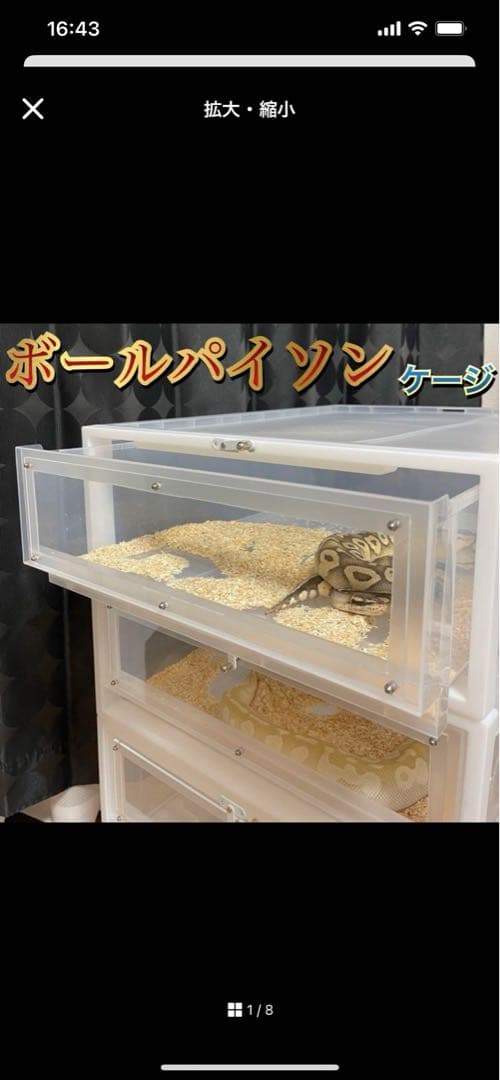 ボールパイソンケージ 40×65×30