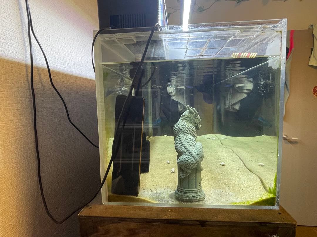 アクリル水槽 120cm×45cm×45cm 厚み10mm 大型 鑑賞魚