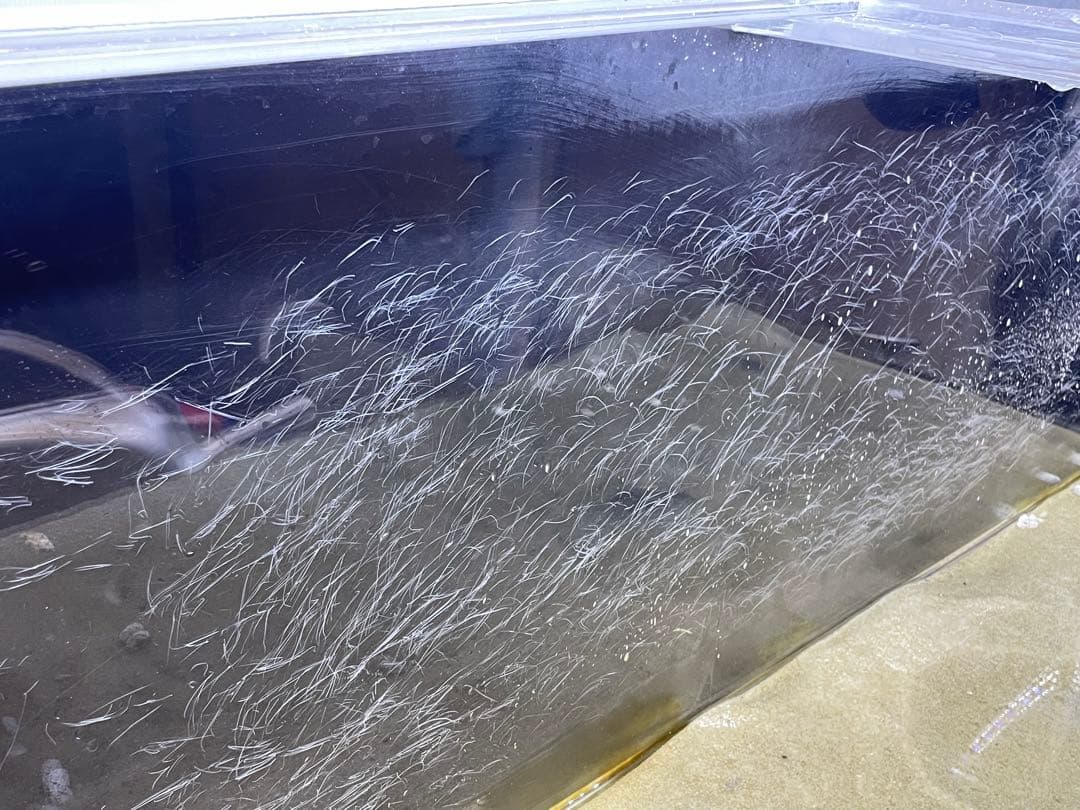 アクリル水槽 120cm×45cm×45cm 厚み10mm 大型 鑑賞魚