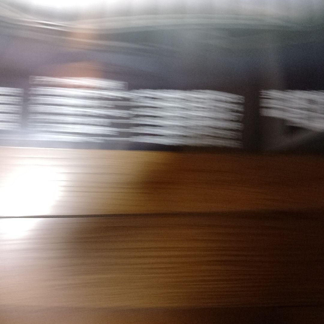 希少品最終章ウィラポンvs辰吉丈一郎大阪ドームWBC世界バンダム級タイトルマッチ