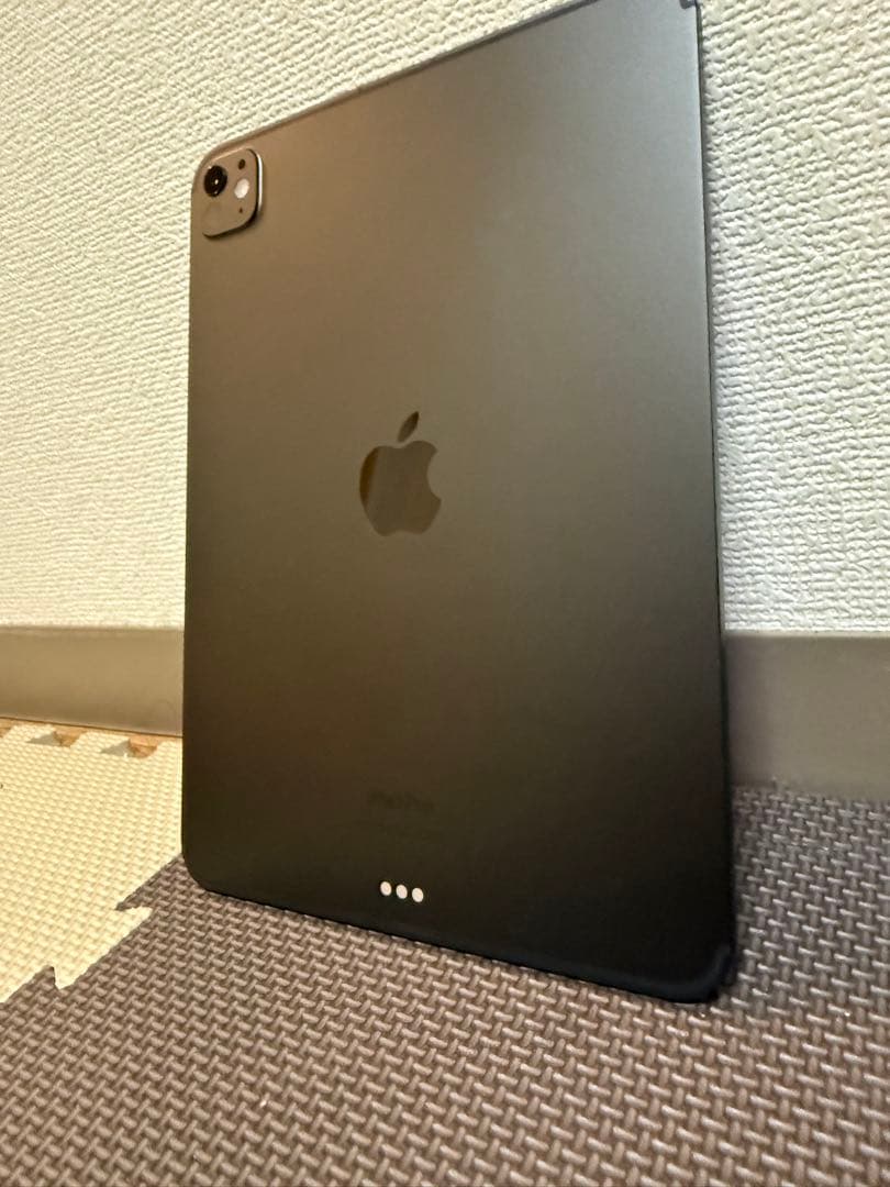 Apple iPad Pro 11インチ (M4) 256GB