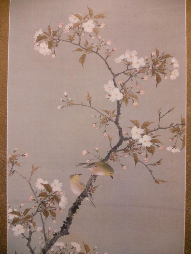 掛け軸 小田海僊 作 桜花小禽図 絹本 名品複製 逸翁美術館 茶道具 掛軸 美品