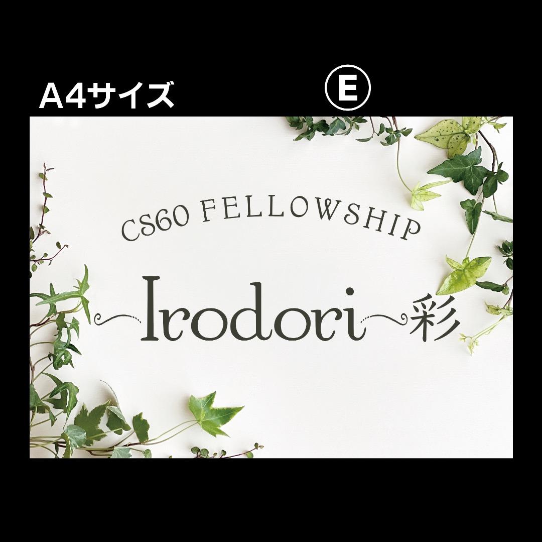 ⋆*✩姐御⋆*✩様おまとめ専用✦346✦ショップ看板✦60×24/A4/A3＋α