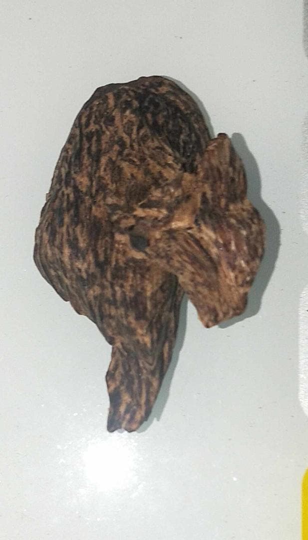 超貴重なベトナム産沈香9g !