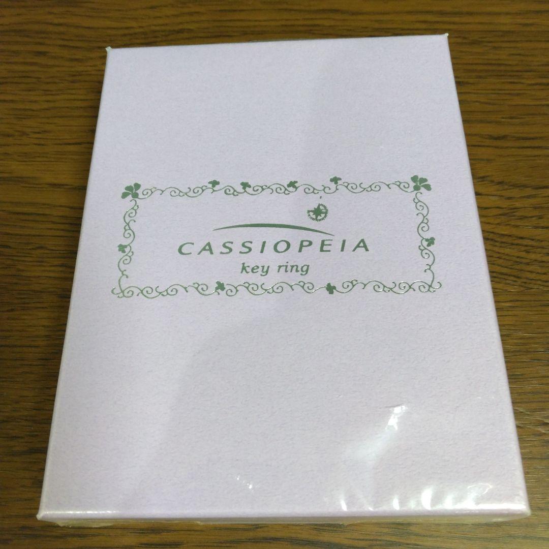 Cassiopeia カシオペア 1999年 車内グッズ