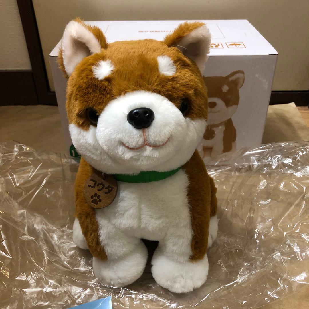 未使用　こんにちワン！しばいぬコウタ　バンダナつきセット