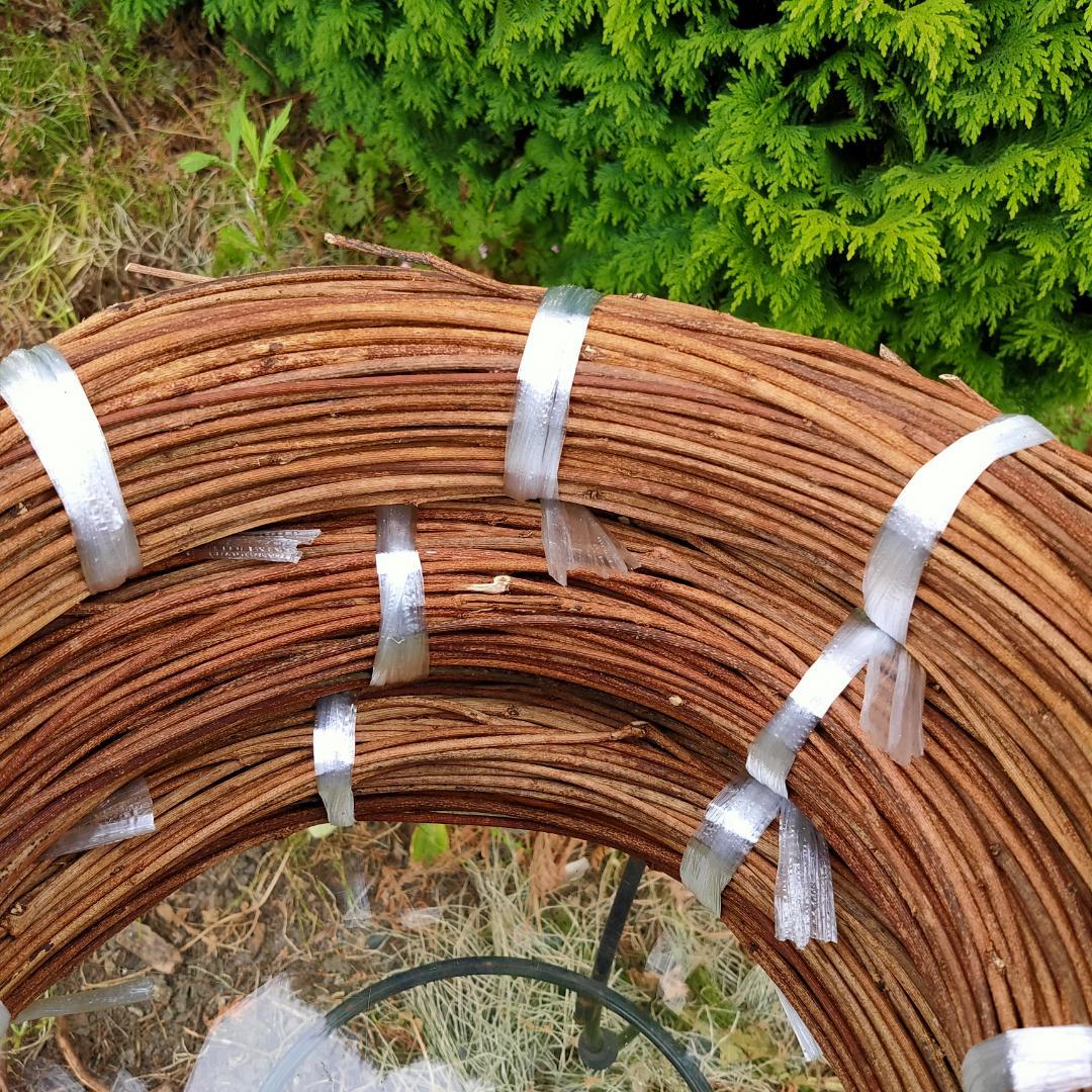 (注)青森県岩木山採取　あけび蔓　150cm～　3kg(依頼品)　2