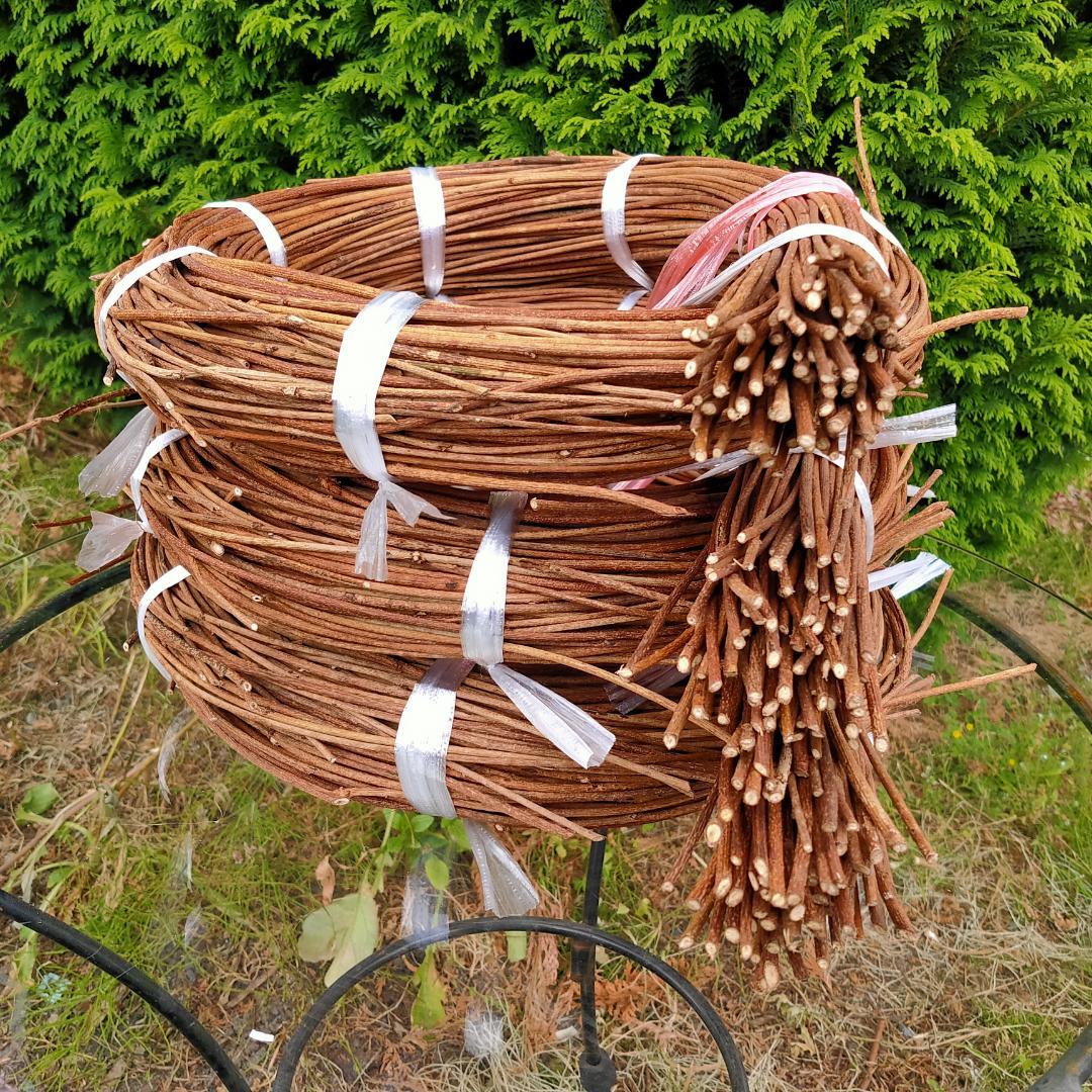 (注)青森県岩木山採取　あけび蔓　150cm～　3kg(依頼品)　2