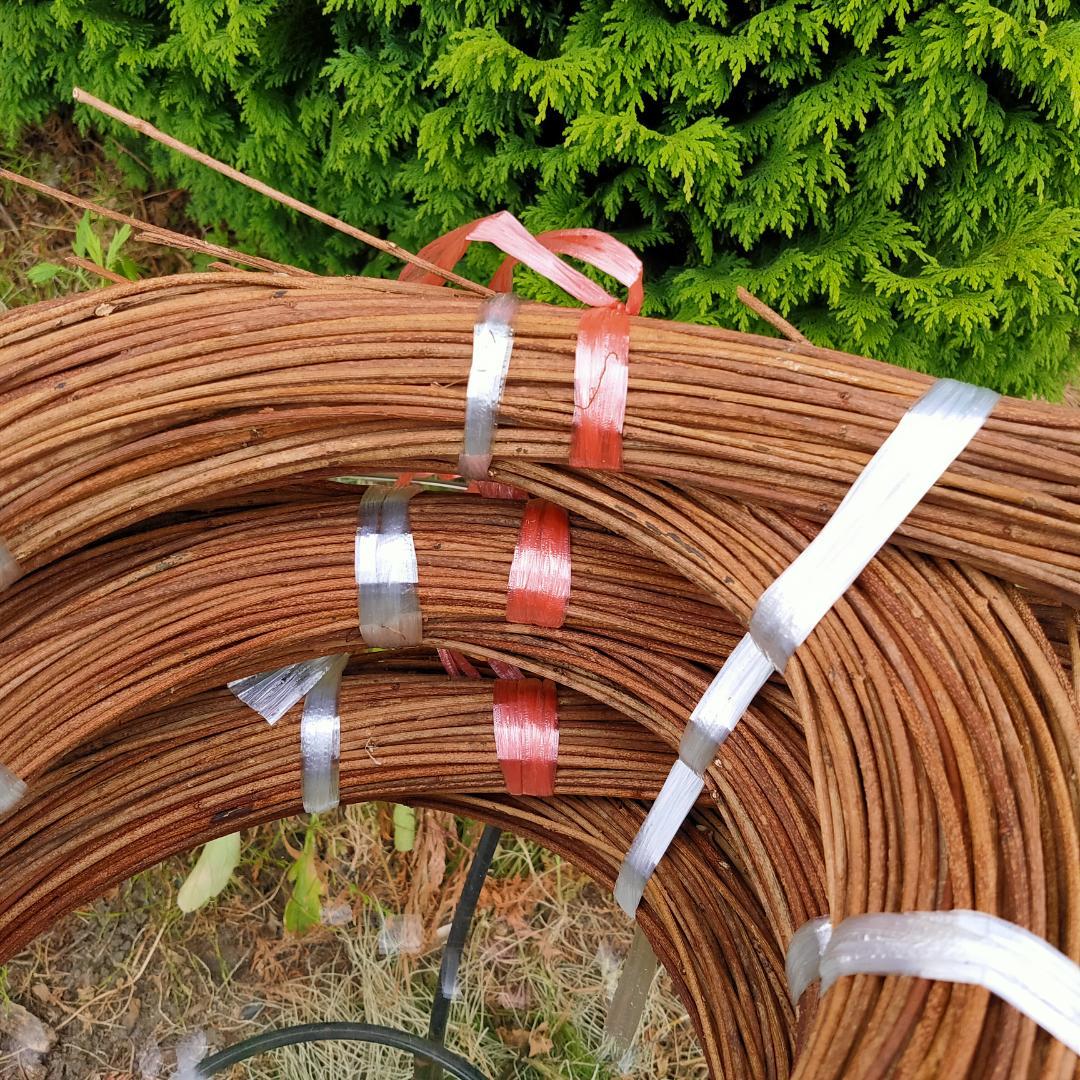 (注)青森県岩木山採取　あけび蔓　150cm～　3kg(依頼品)　2