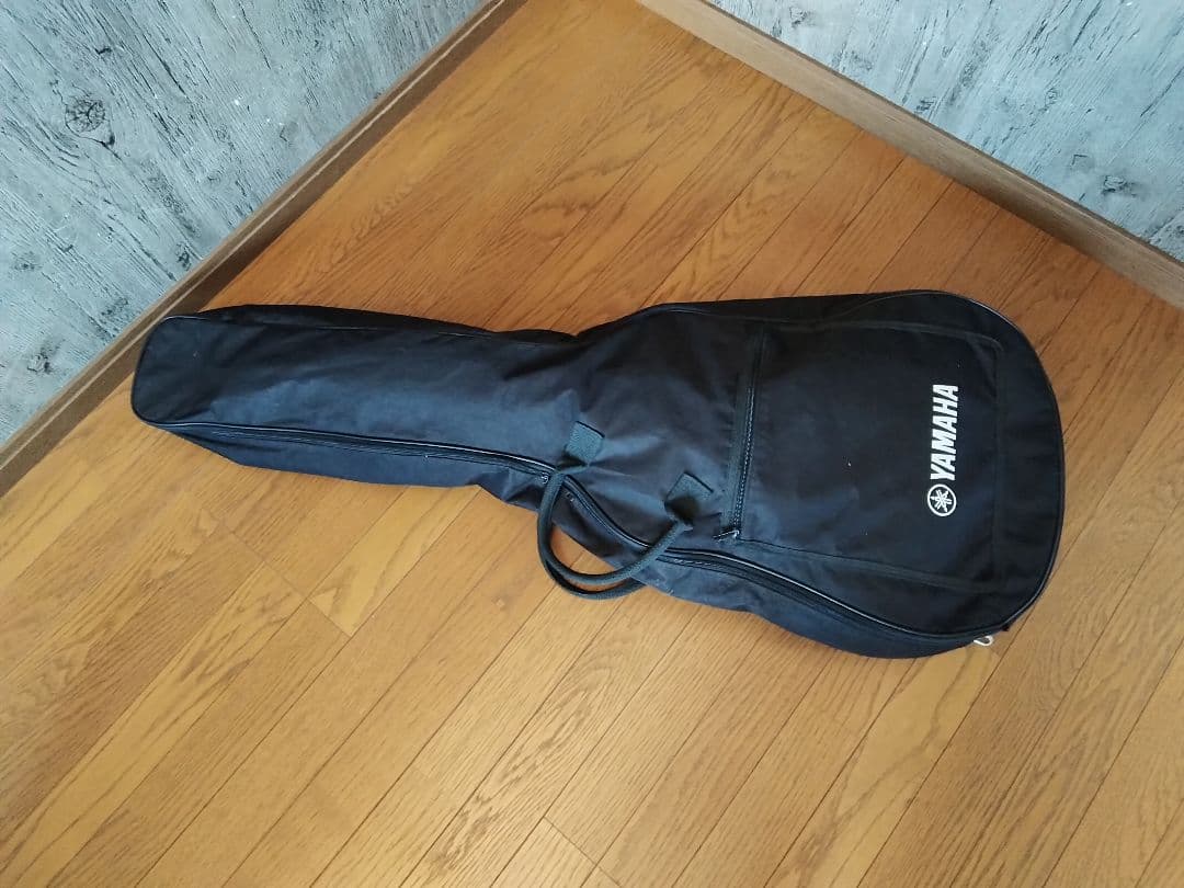 TonySmith　セミアコ