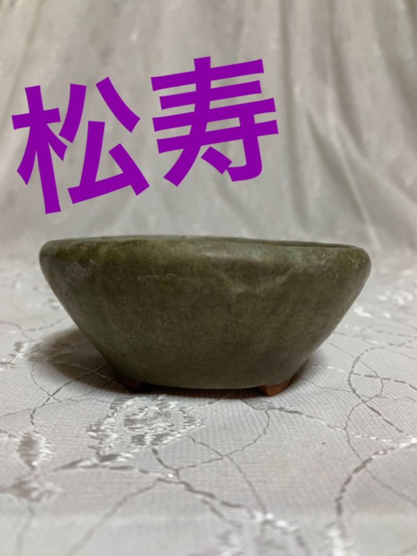 松寿　ミニ盆栽鉢
