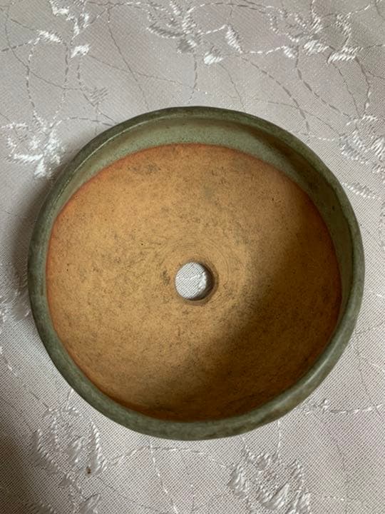 松寿　ミニ盆栽鉢