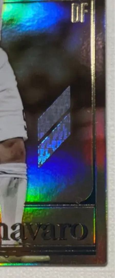 パニーニフットボールリーグ ファビオカンナバーロ