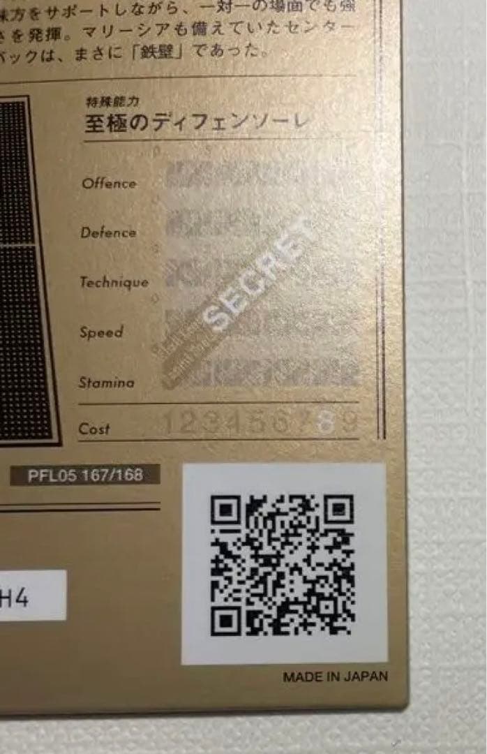 パニーニフットボールリーグ ファビオカンナバーロ