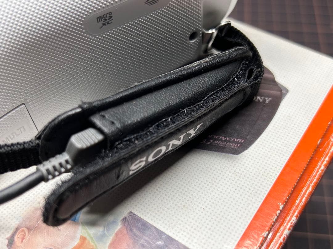 Sony ハンディカム ビデオカメラ HDR-CX480 メモリカード付64GB