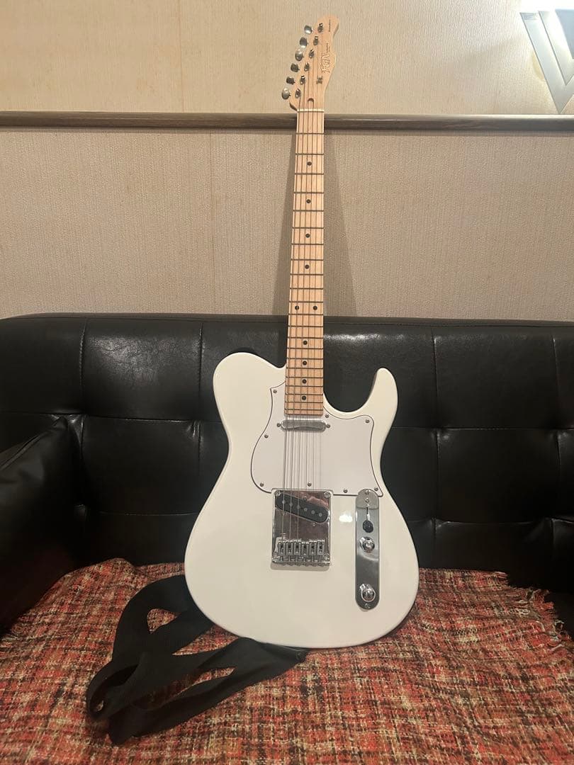 FUJIGEN テレキャス ケース付き