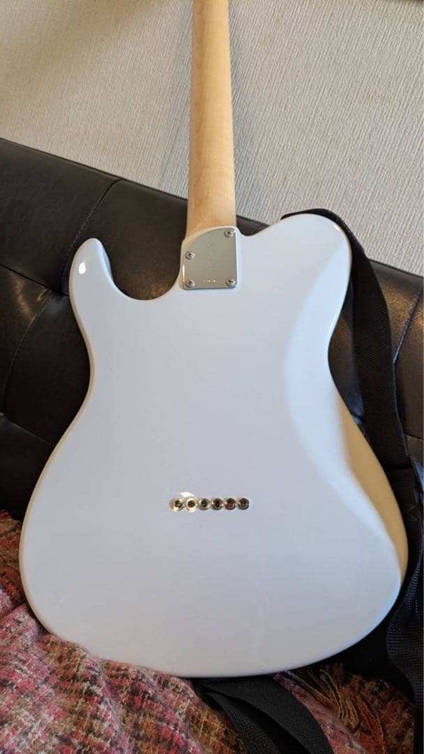 FUJIGEN テレキャス ケース付き