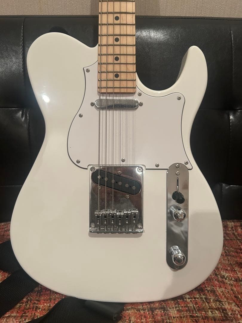 FUJIGEN テレキャス ケース付き