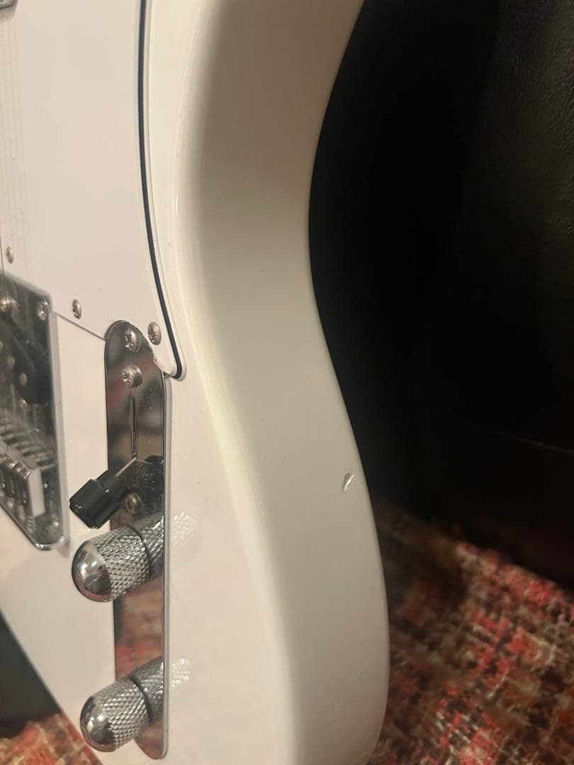 FUJIGEN テレキャス ケース付き