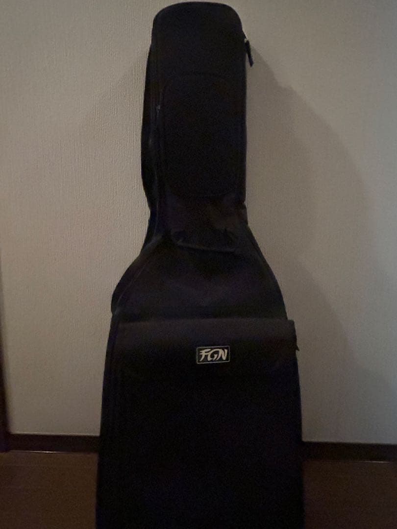 FUJIGEN テレキャス ケース付き