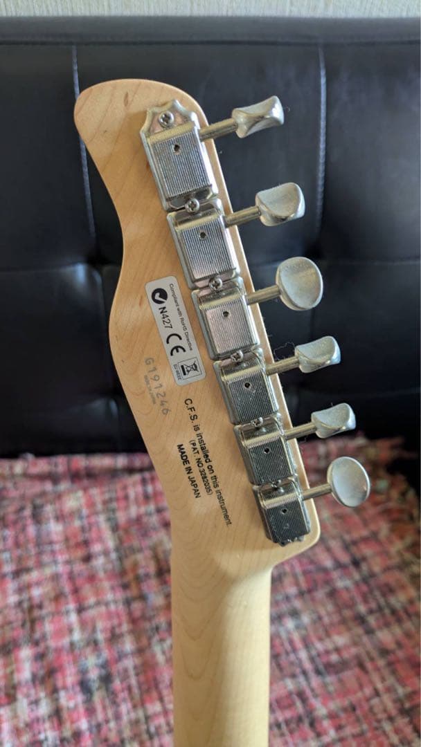 FUJIGEN テレキャス ケース付き