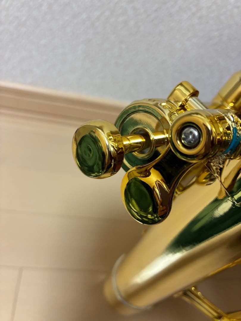 Cool Wind EU-200 GLD ゴールド (プラ製ユーフォニアム)