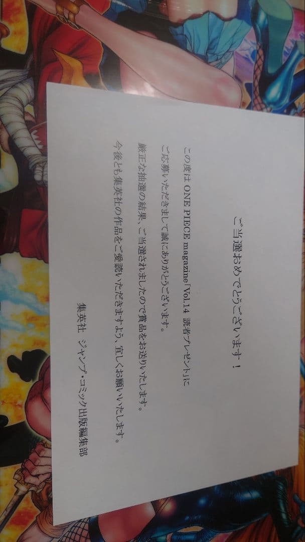 ワンピースマガジン　クリアファイル　ONE PIECE magazine