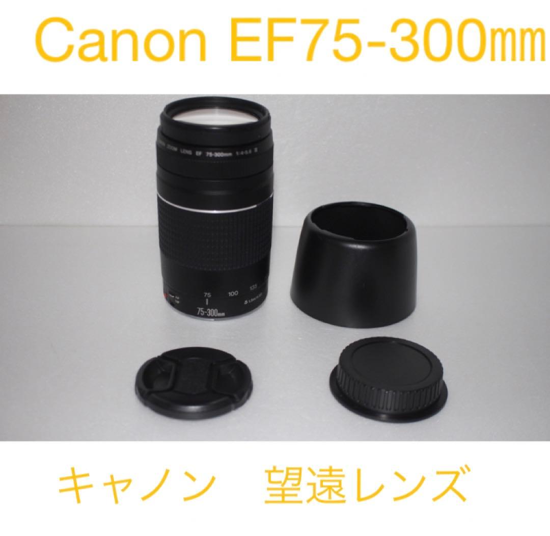 キャノン超望遠レンズ　人気の300㎜　Canon EF75-300㎜