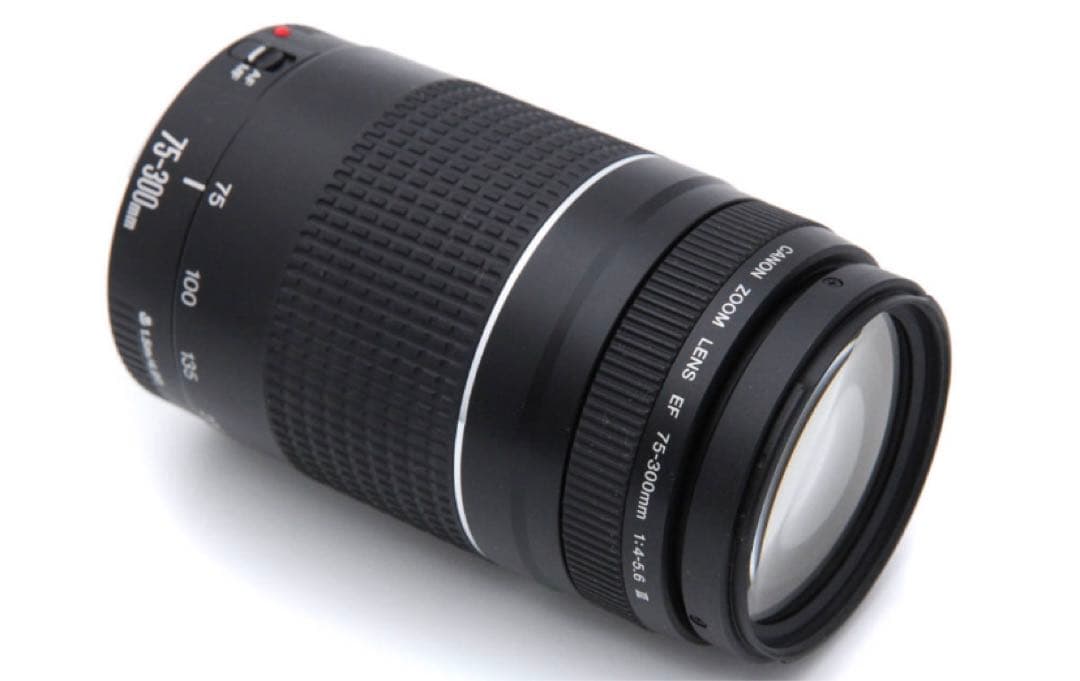 キャノン超望遠レンズ　人気の300㎜　Canon EF75-300㎜