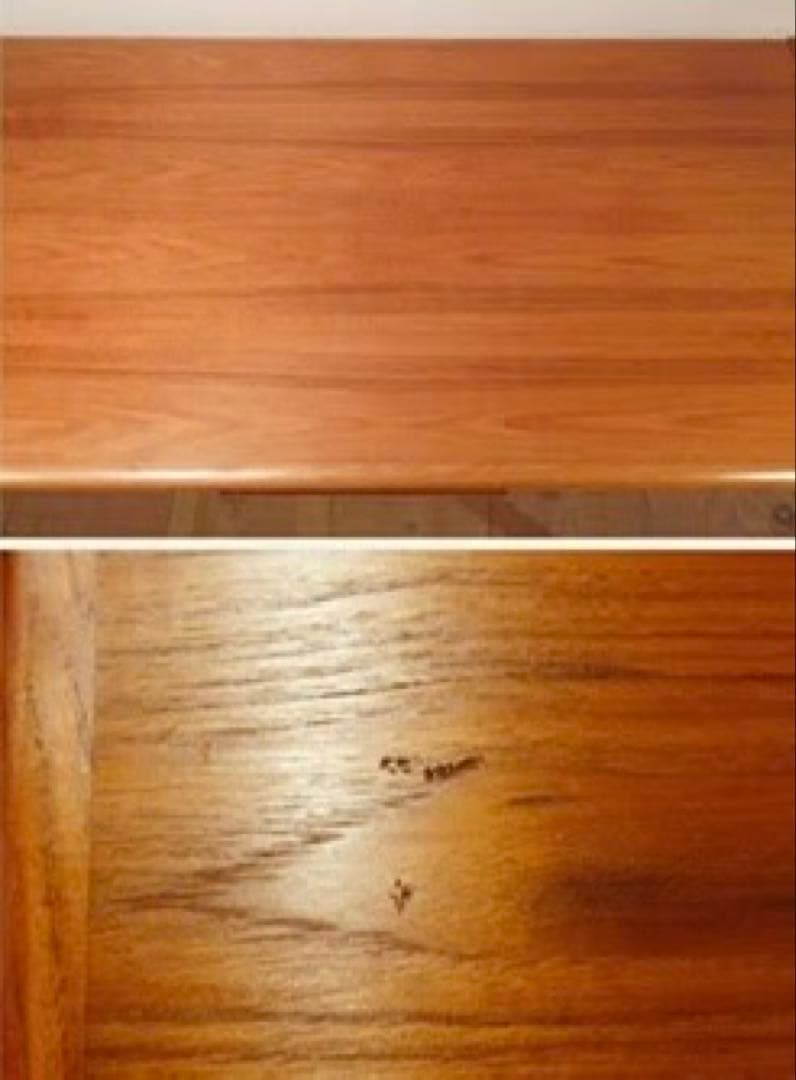 北欧ビンテージ デンマーク エクステンションテーブル